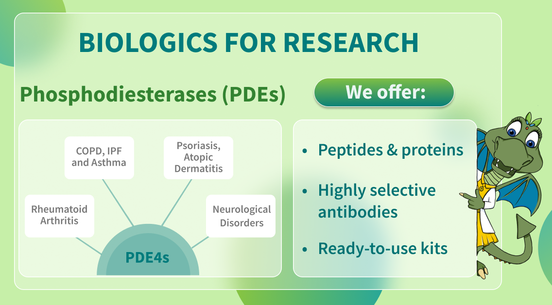 Chemspace | We offer Biologics for Research – Phosphodiesterases (PDEs)